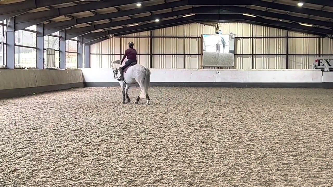 Dressage anywhere training test feb 2022 prelim 19