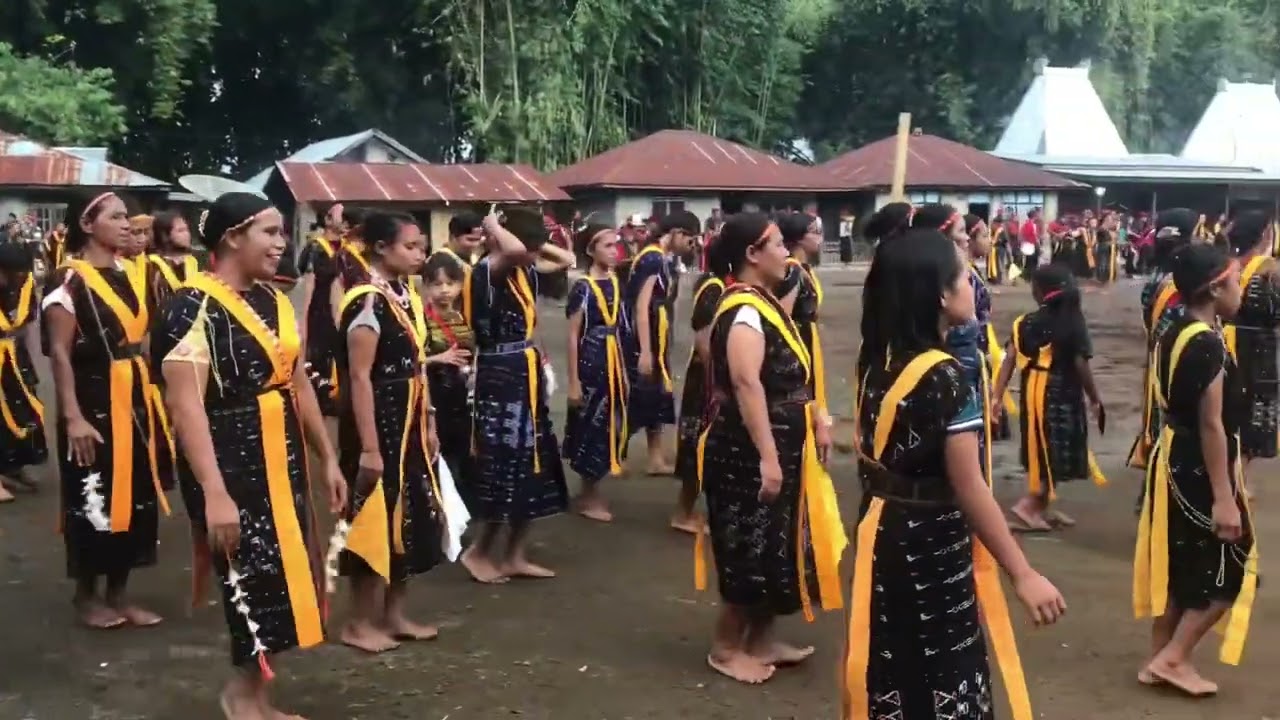Tarian Adat Bajawa Dalam Acara Ka Sao Dikampung Bomuzi Langa