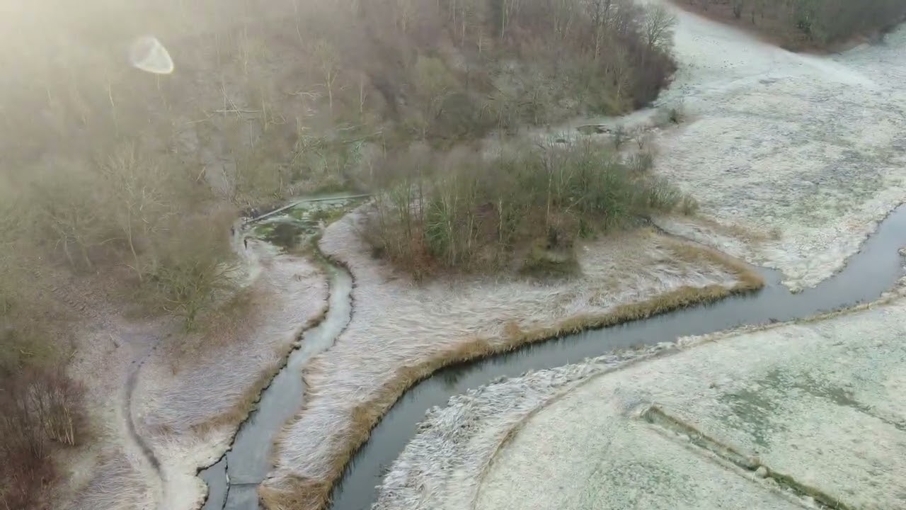 Rold Skov