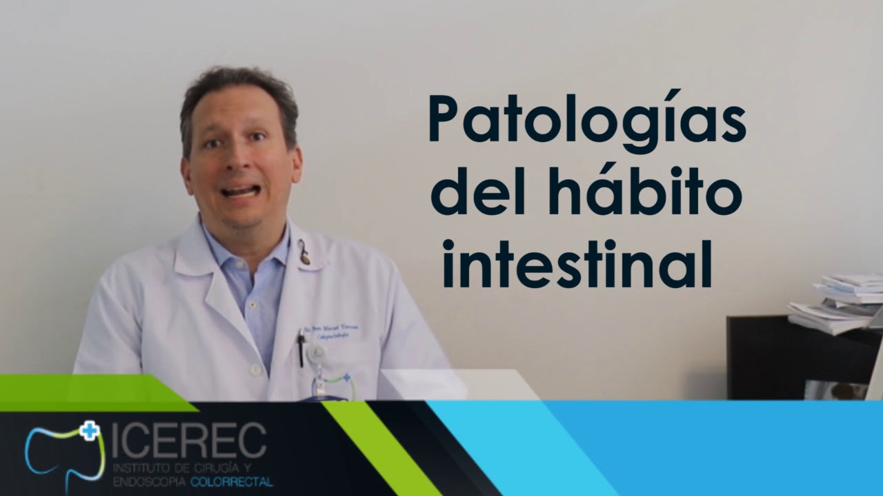 Qu&eacute; es Coloproctolog&iacute;a : Definici&oacute;n y funciones