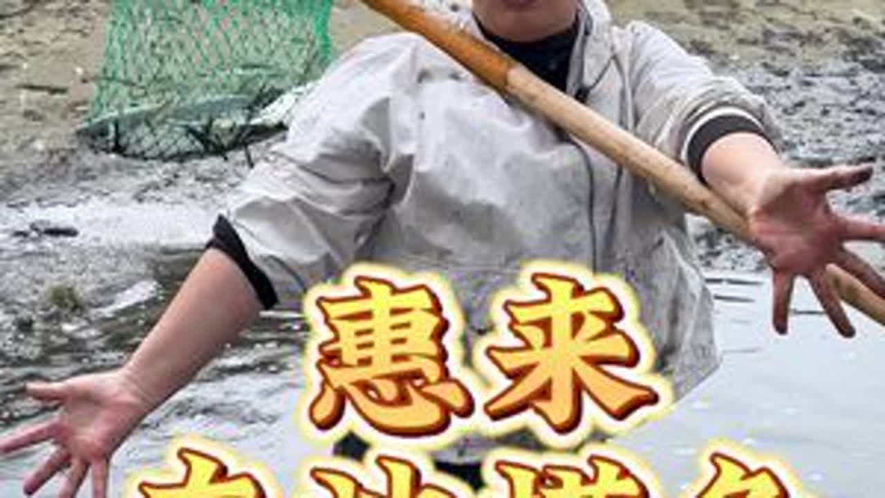 我们今天，到恵来车池抓鱼#海鲜知识 #户外 #年夜饭 #大丰收 #年货备起来
