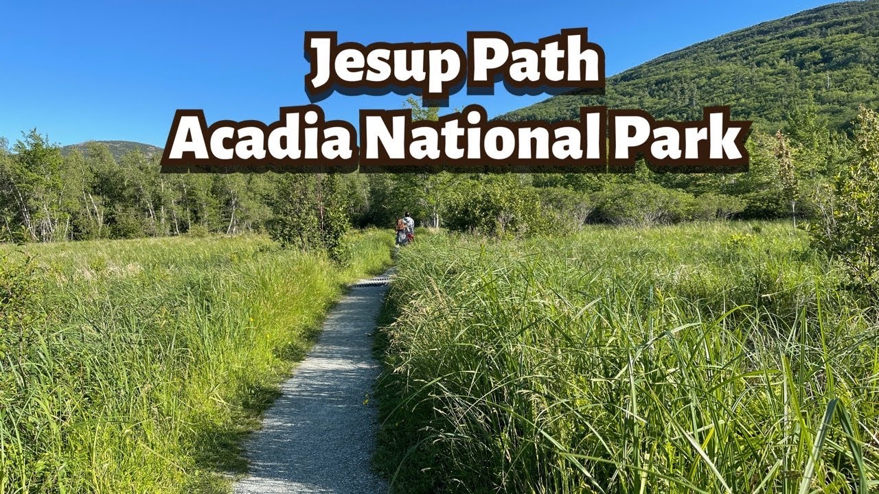 Jesup Path - Hiking Acadia National Park