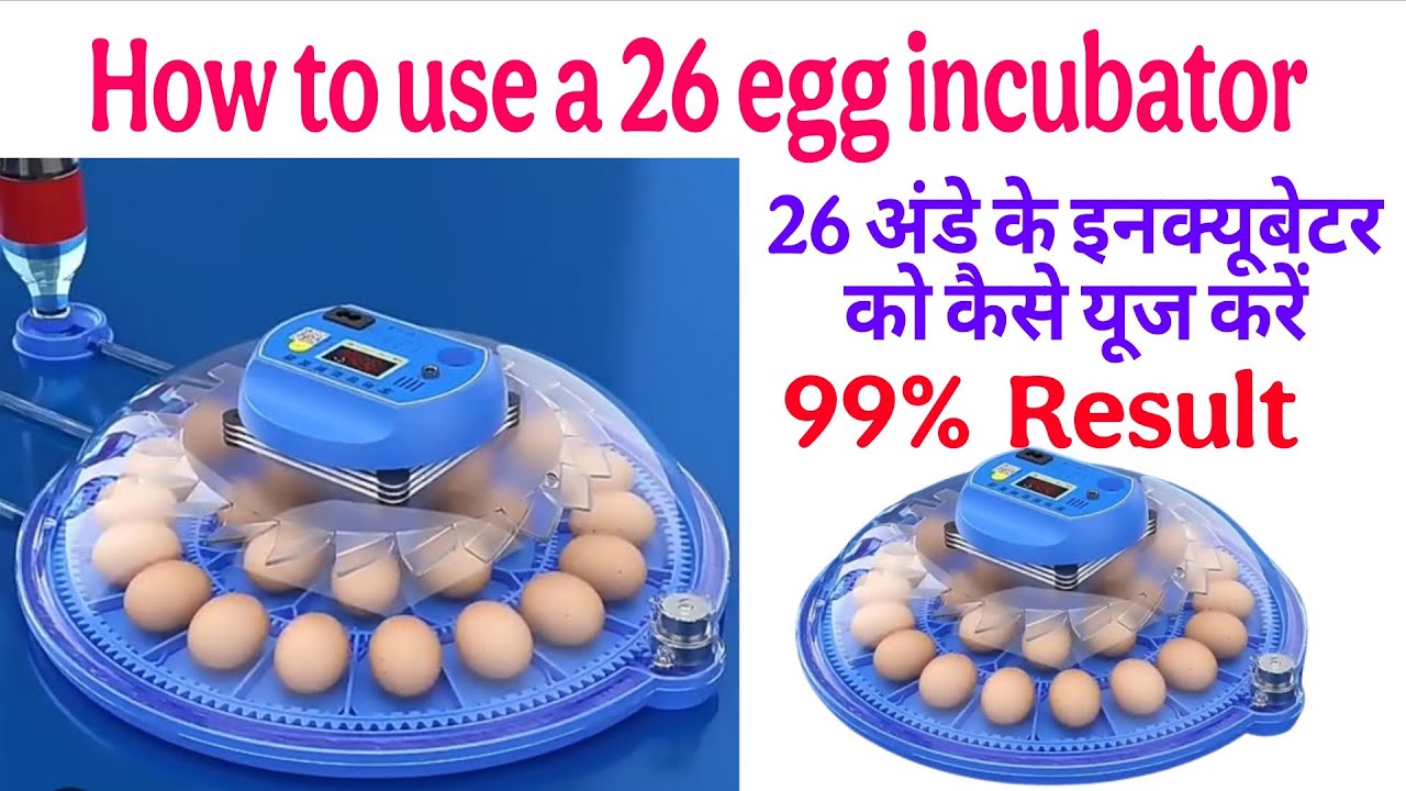 26 How to Use an Egg Incubator | 26 अंडे के इनक्यूबेटर को कैसे यूज करें  | 7385137018