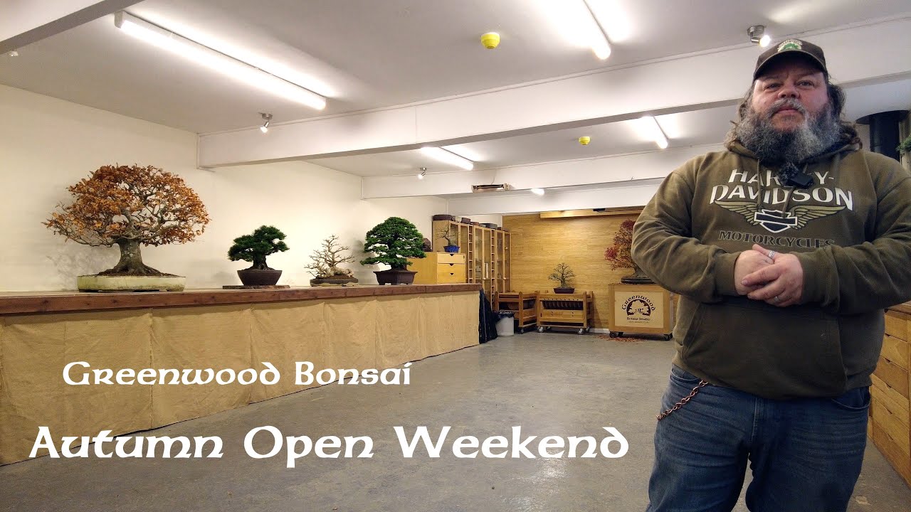 Autumn Open Weekend Exhibition - Greenwood Bonsai