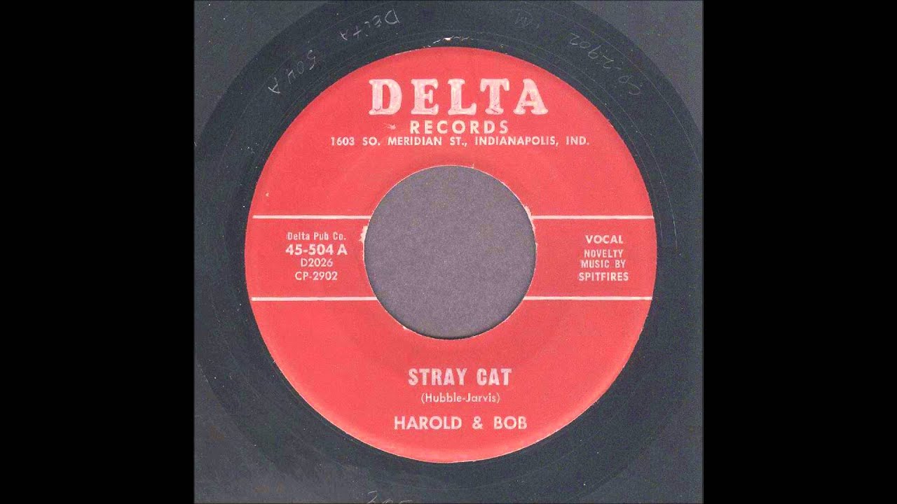 Harold & Bob - Stray Cat - Rockabilly 45