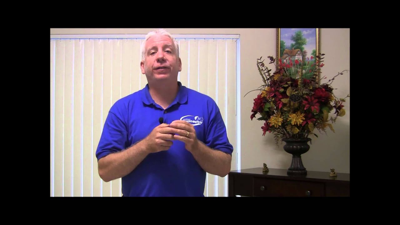 How to CLICKER TRAIN your dog or puppy!