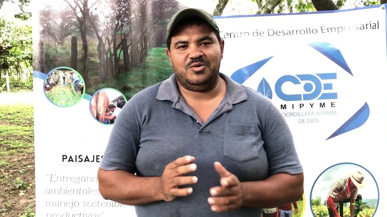 TALLER SOBRE MANEJO Y CUIDADO PORCINO ECAS YORO Y OLANCHO