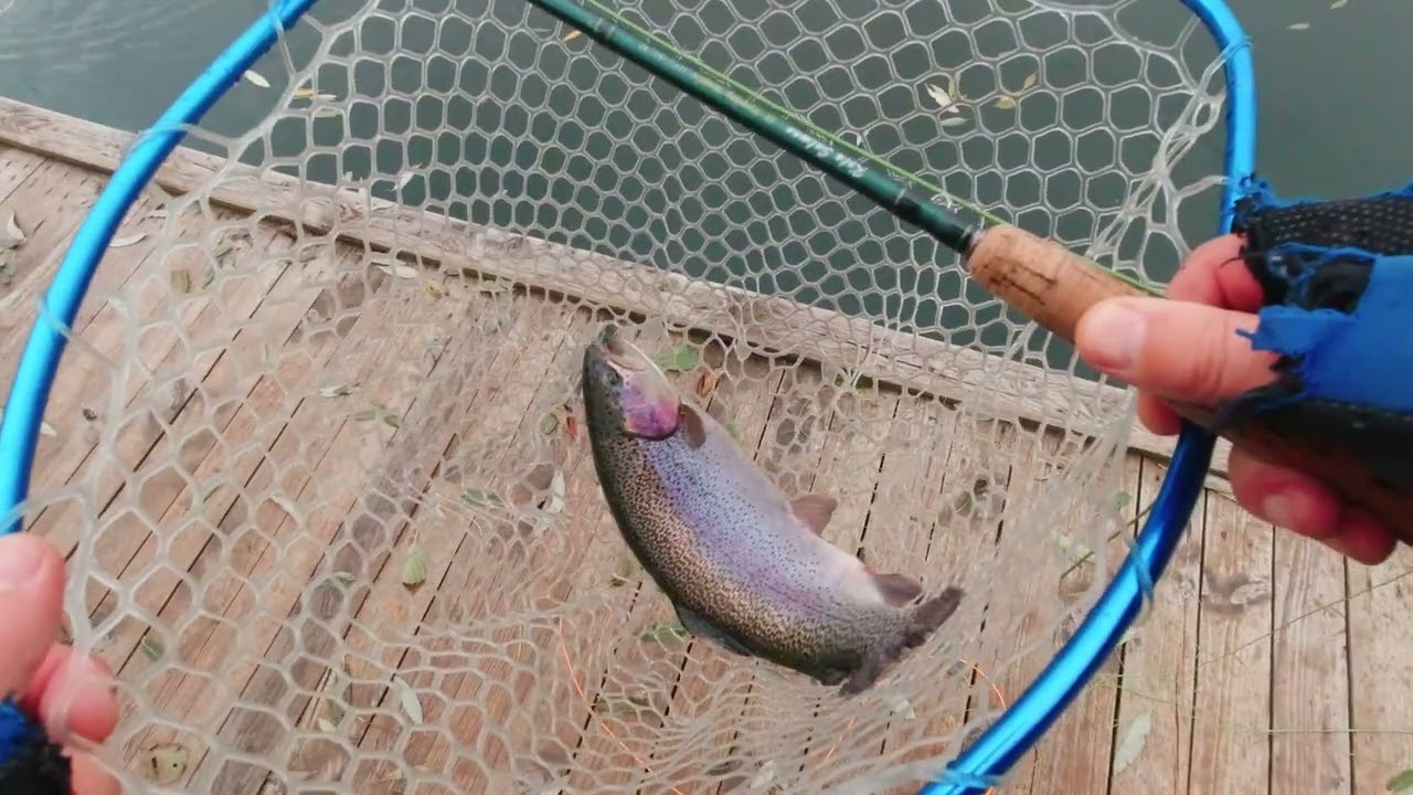 Ловля форели. Fly-Fishing.ru на платнике. Капризная форель любит мокрые мушки.