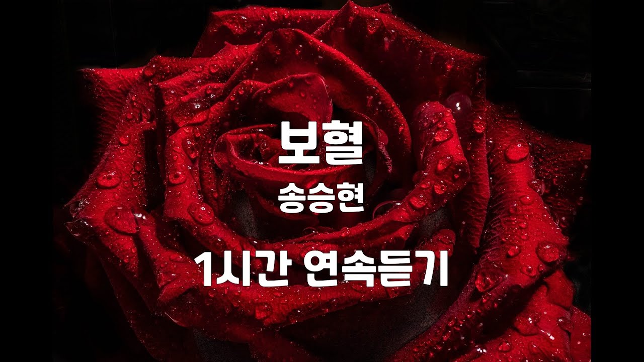 보혈 | 송승현 | 1시간 연속듣기 | (구독자 신청곡)