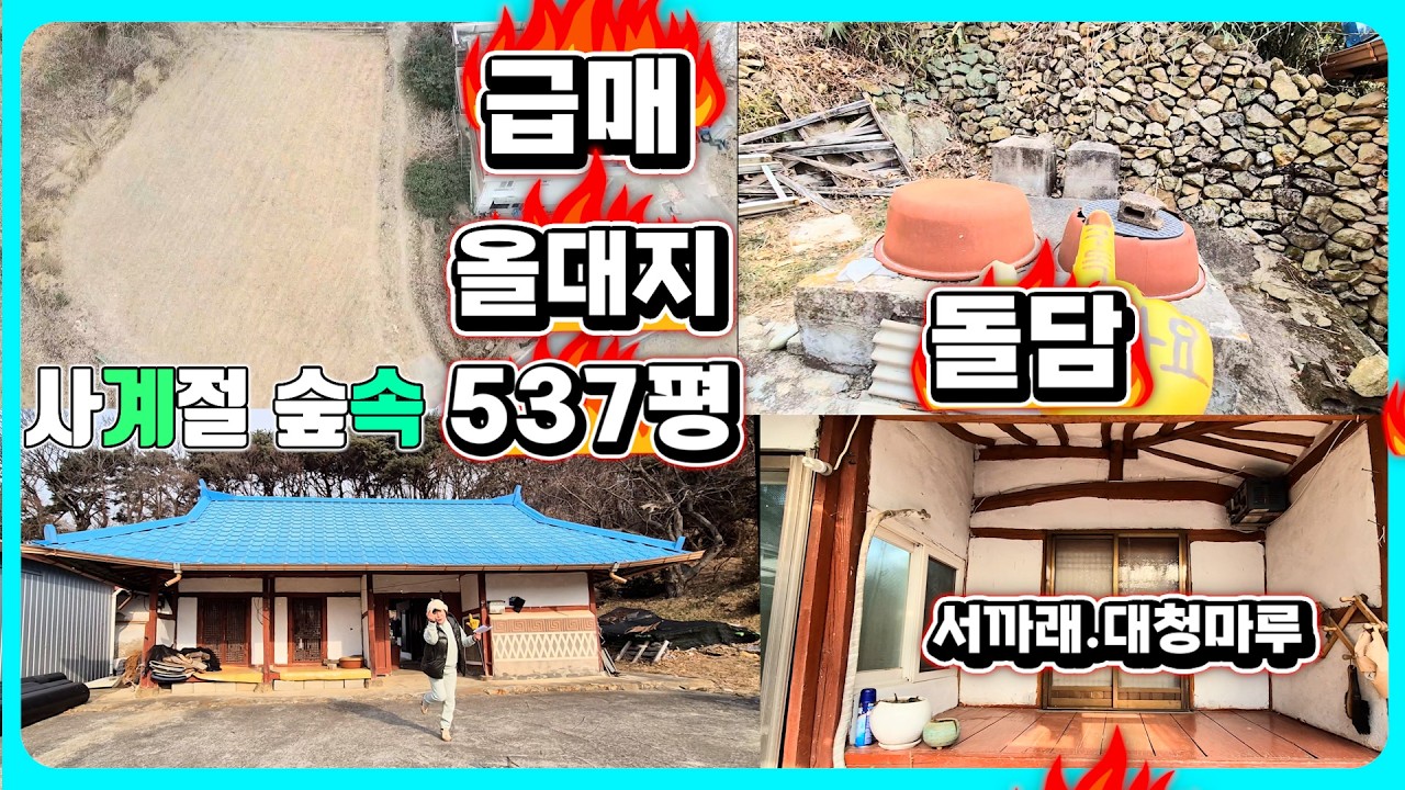 급매 올대지537평 서까래 구옥주택#강화도전원주택#강화도부동산#강화도토지#강화도땅#강화도농가주택#강화도농막#강화전원주택#강화급매#강화부동산#강화토지#강화농막#강화땅#김포전원주택