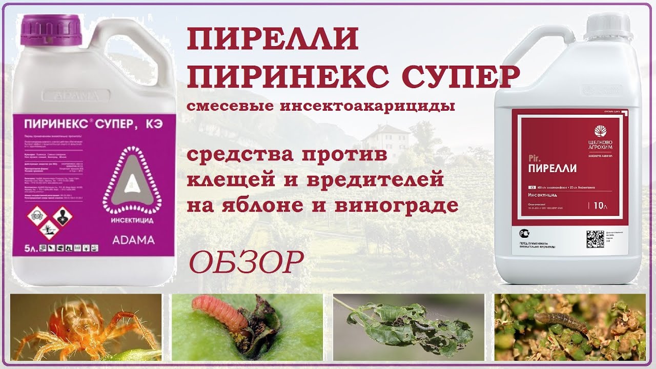 Пирелли и Пиринекс Супер - средства против гусениц и клещей на яблоне и винограде. Обзор инсектицида