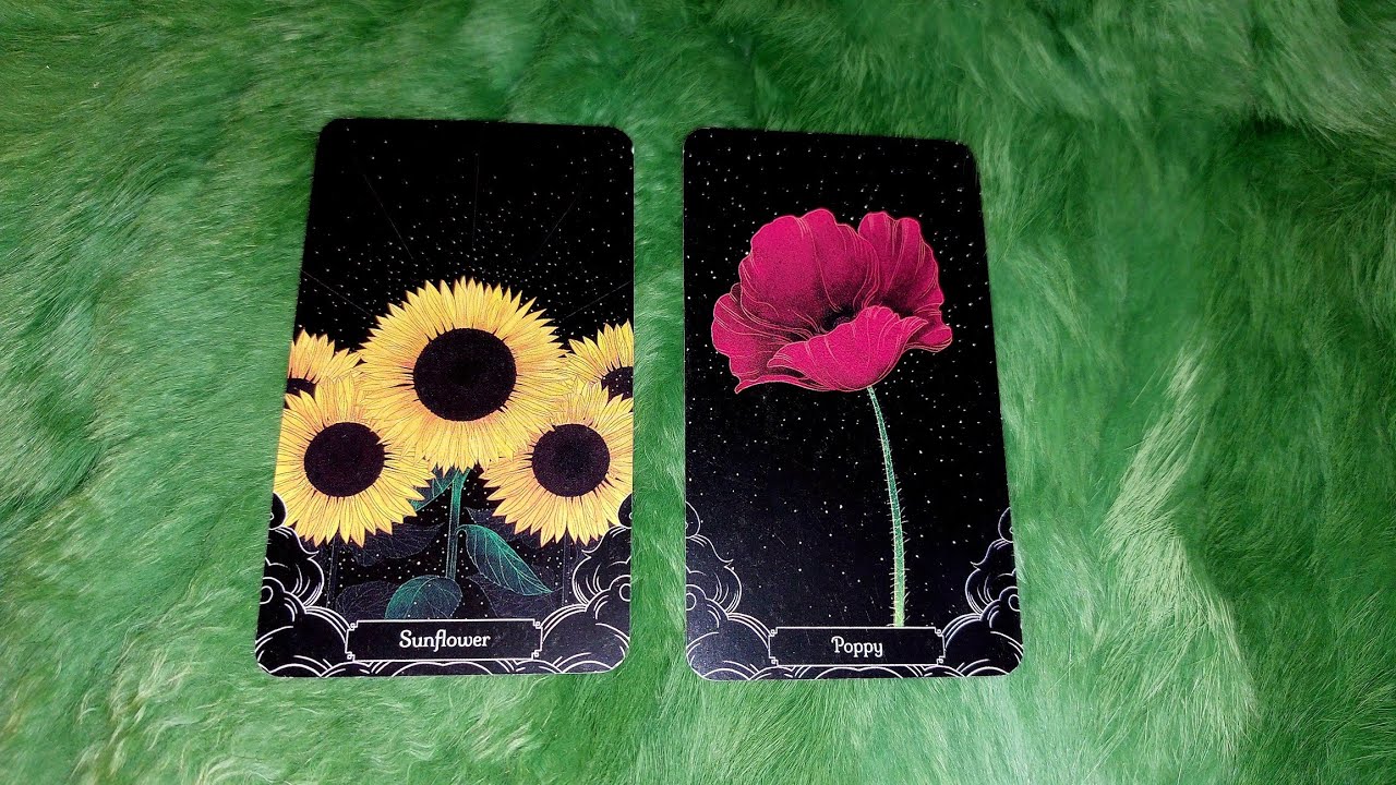 BẠN SẼ ĐÓN NHẬN 