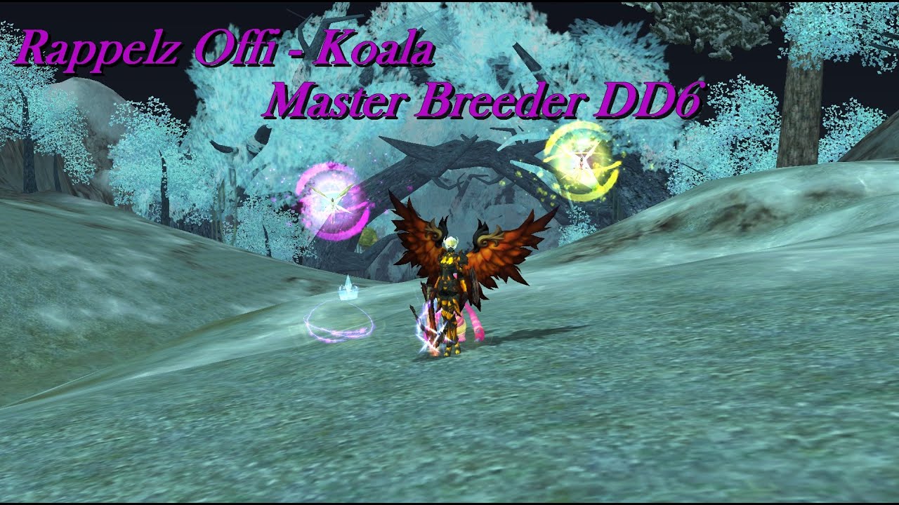 Rappelz Offi Koala - DD6 Master Breeder