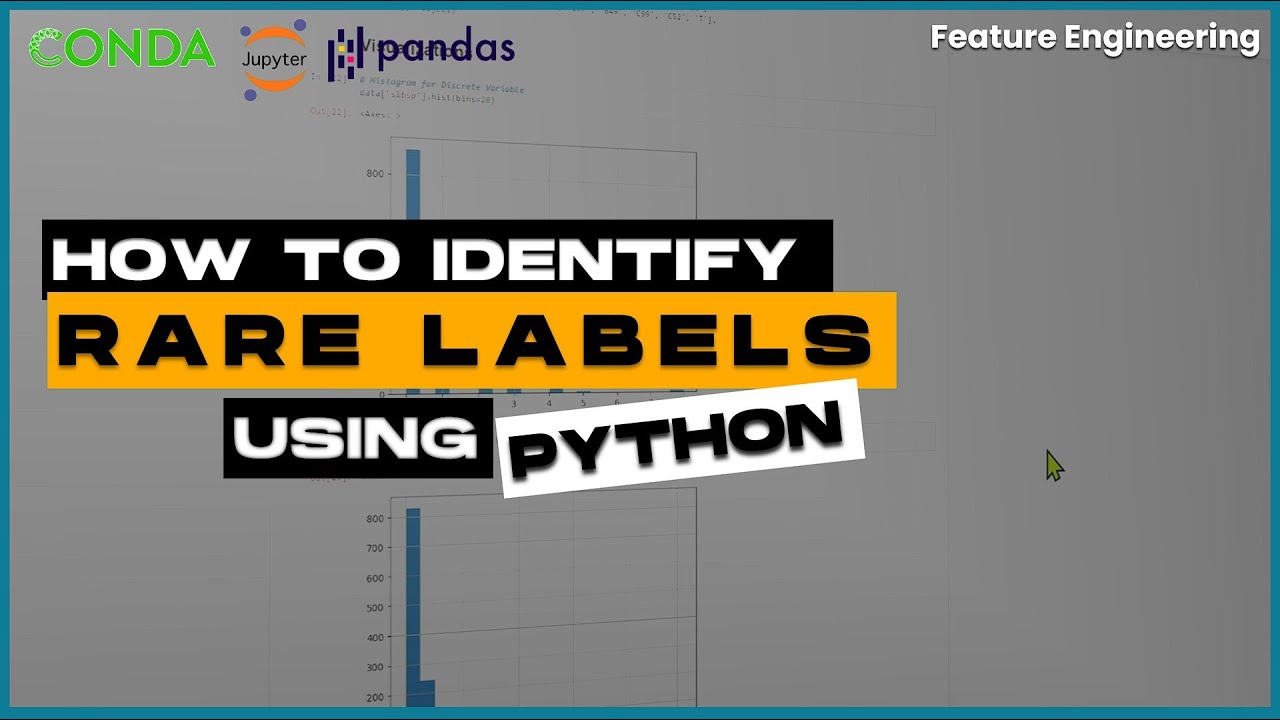 IDENTIFYING RARE LABELS FOR CATEGORICAL VARIABLE | PYTHON