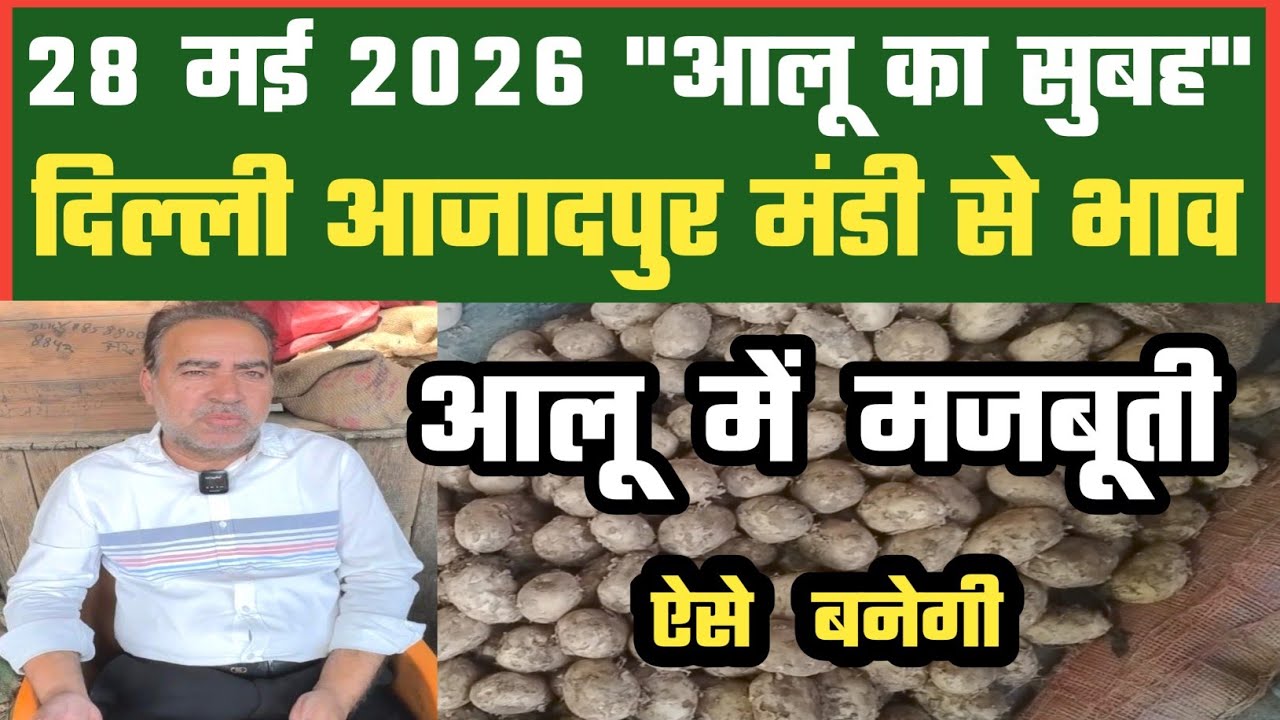 आलू में भाव ऐसे बनेंगे, Azadpur Delhi Mandi Today में 28-05-2026 के Potato Price DMT TV
