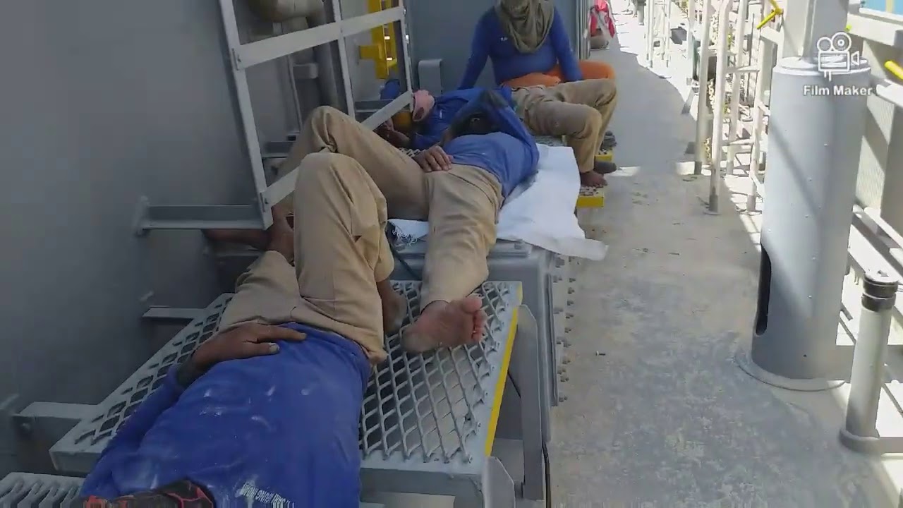 stevedores while at port cargo operation