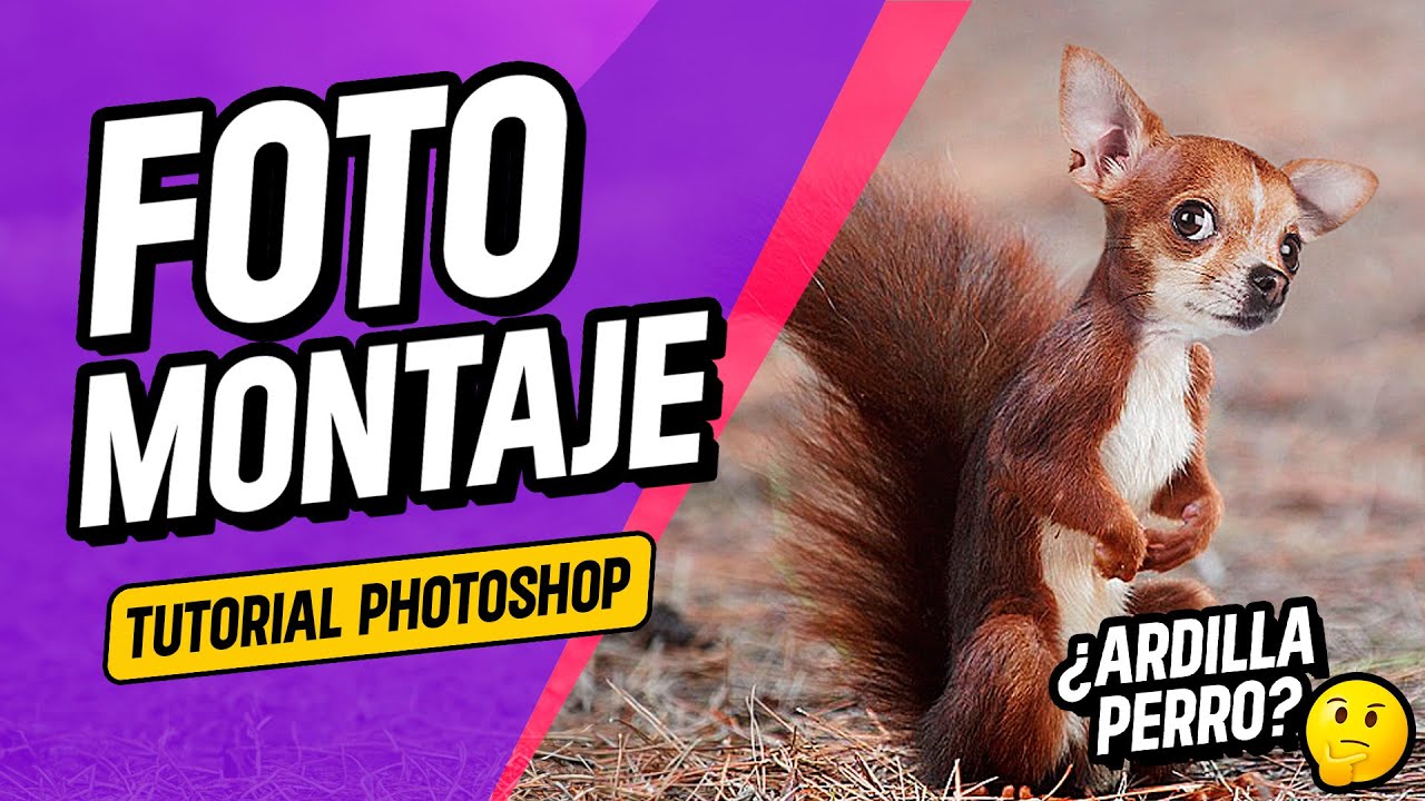 Cómo crear una fotomanipulación de un perro-ardilla con Photoshop | Tutorial paso a paso