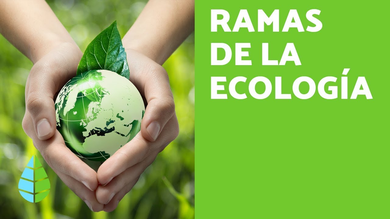 RAMAS de la ECOLOG&Iacute;A - &iquest;Qu&eacute; ESTUDIA la ECOLOG&Iacute;A?
