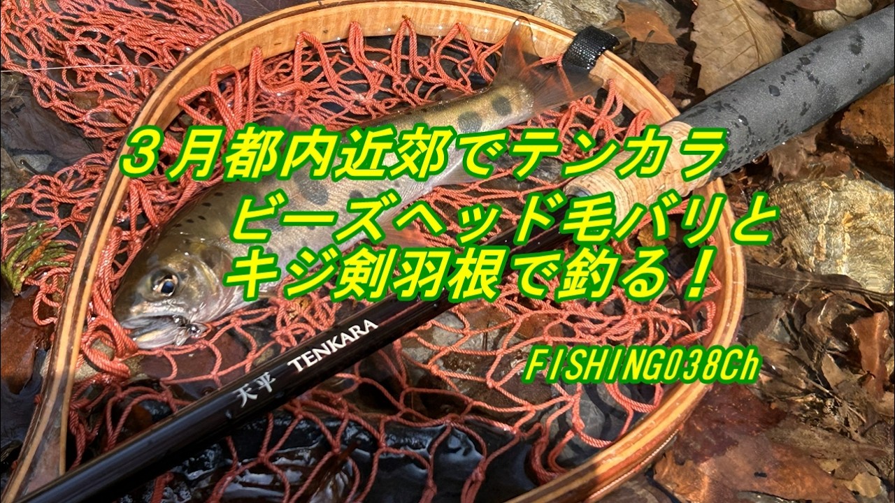 3月都内近郊でテンカラ　ビーズヘッド毛バリとキジ剣羽根で釣る！