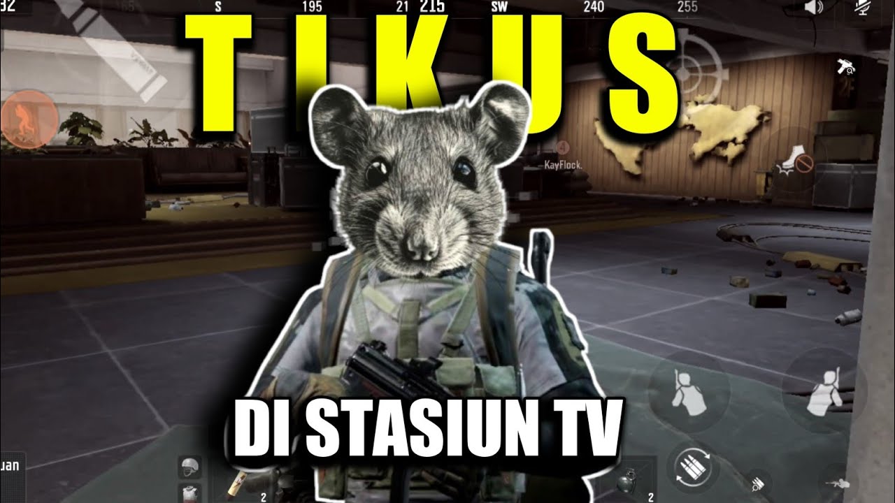 tikus pemula wajib dengerin sepuh tikus stasiun tv ini😂