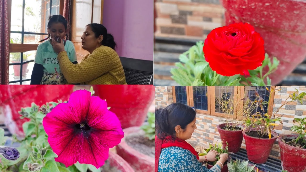 इनकी देखभाल भी जरूरी है❤️🌺🌸