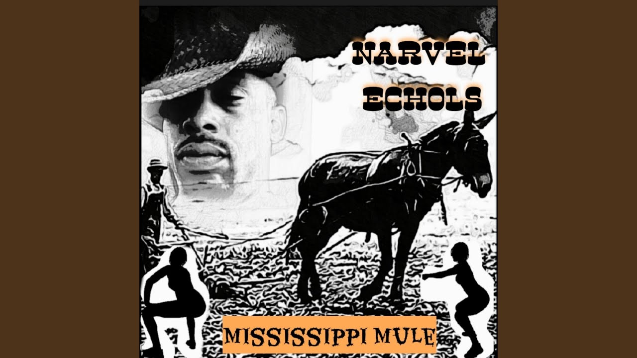 Mississippi Mule