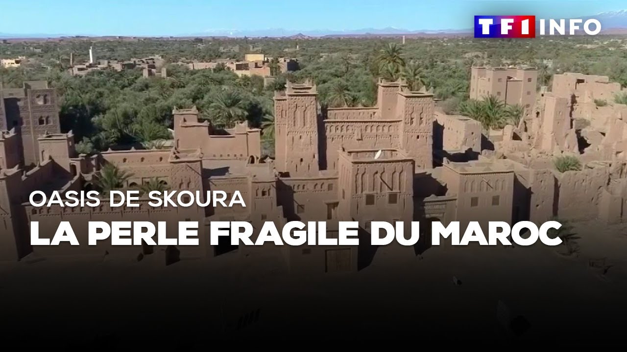 Oasis de Skoura : la perle fragile du Maroc