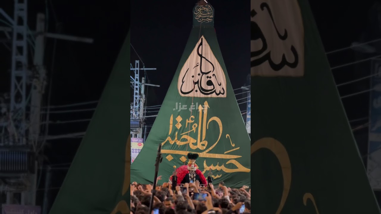 Bekhata Mara Gaya Sibt e Rasool Dusra Wah | ZMMDR | 28 Saffar 2024/1446 #imamhassam #charageaza