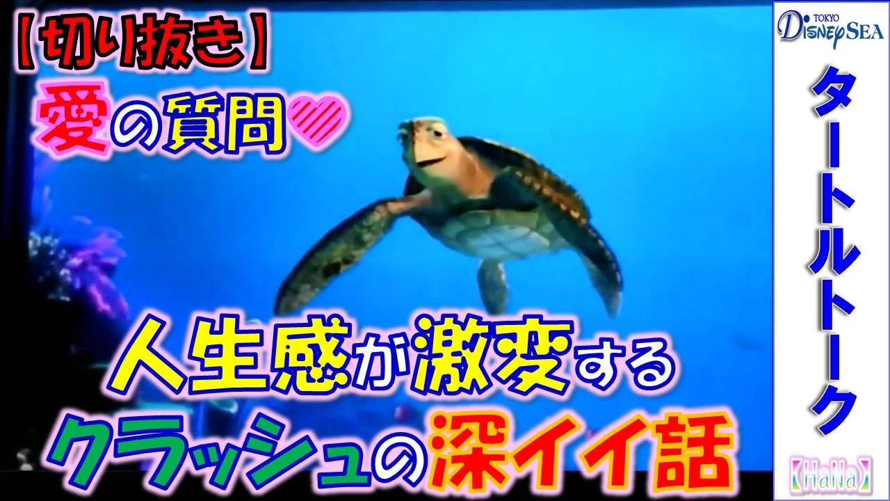 【切り抜き】 タートルトーク 「愛の質問💛人生感が激変するクラッシュの深イイ話」【HaNa】