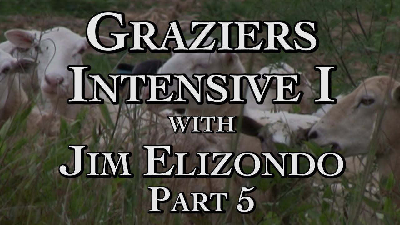 Graziers Intensive I Part 5