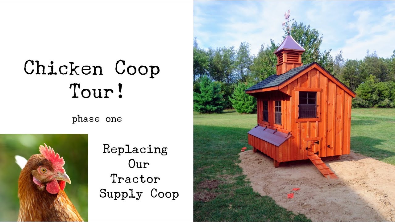 VLOG Amish Built Chicken Coop! Tour **Replacing Tractor Supply  Coop**
