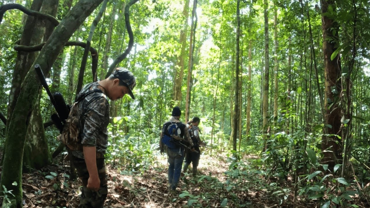 MEMASUKI HUTAN DAN BERMALAM MENDIRIKAN SHELTER DI TEPI SUNGAI