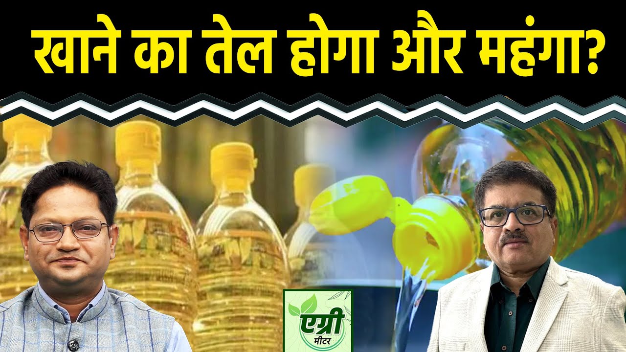 Commodity Market : कब थमेगी खाने के तेल की महंगाई? Trading | NCDEX | Vipul Singh