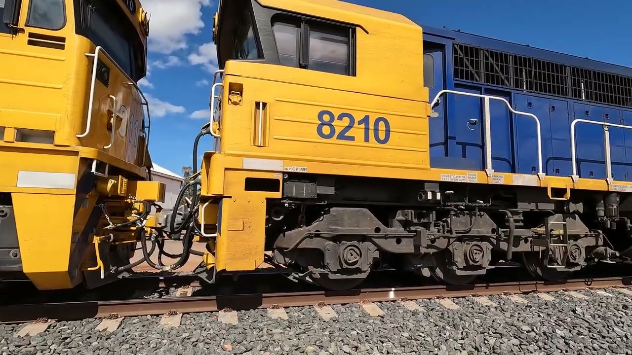 8210 & 8110 walk Condobolin West NSW.  Wed 23rd Apr 2025