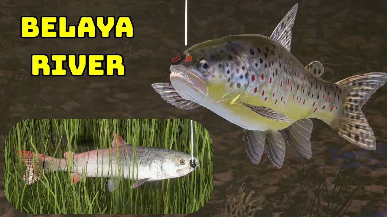 Belaya River Brown trout & Taimen float & spin (120) | Russian Fishing 4