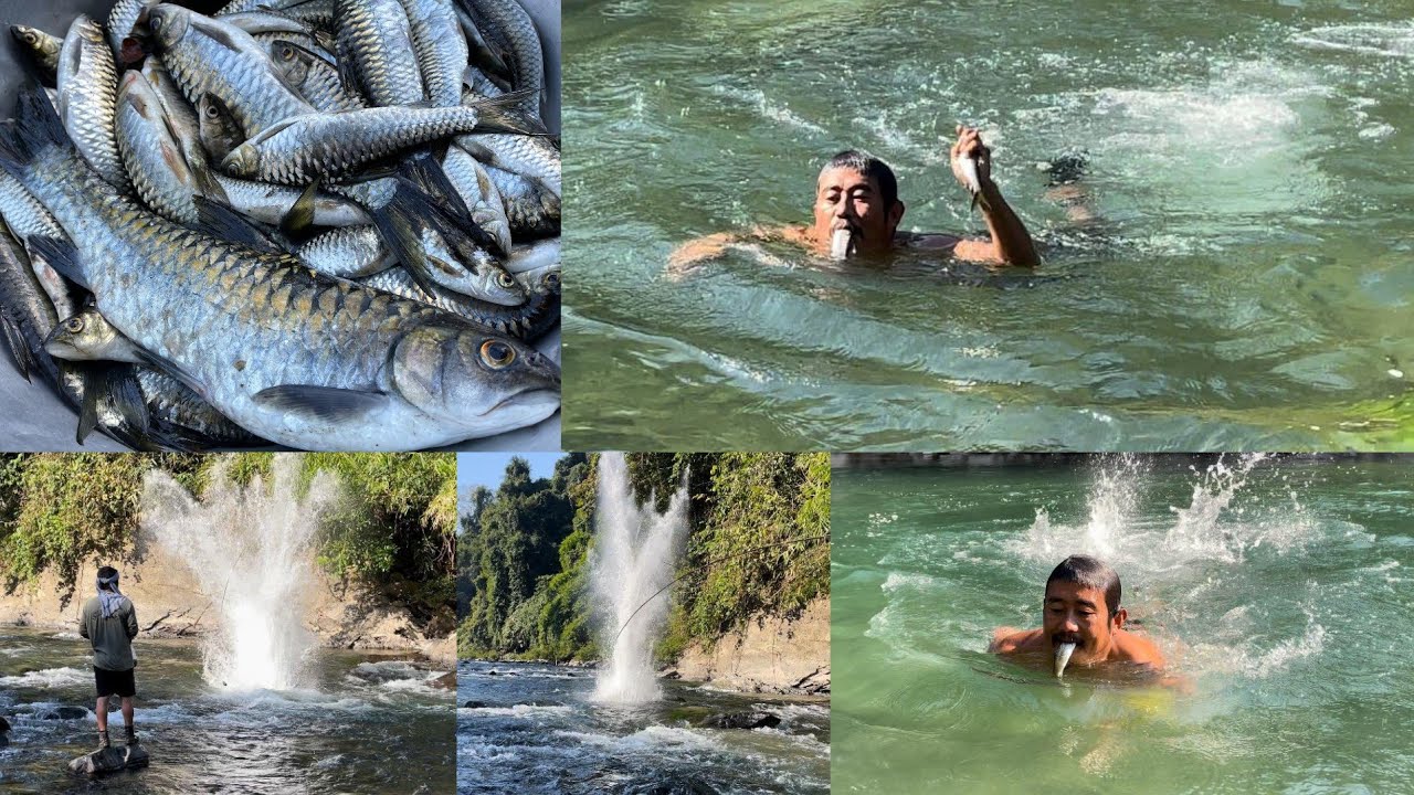 Dynamite Fishing || Dikhu River