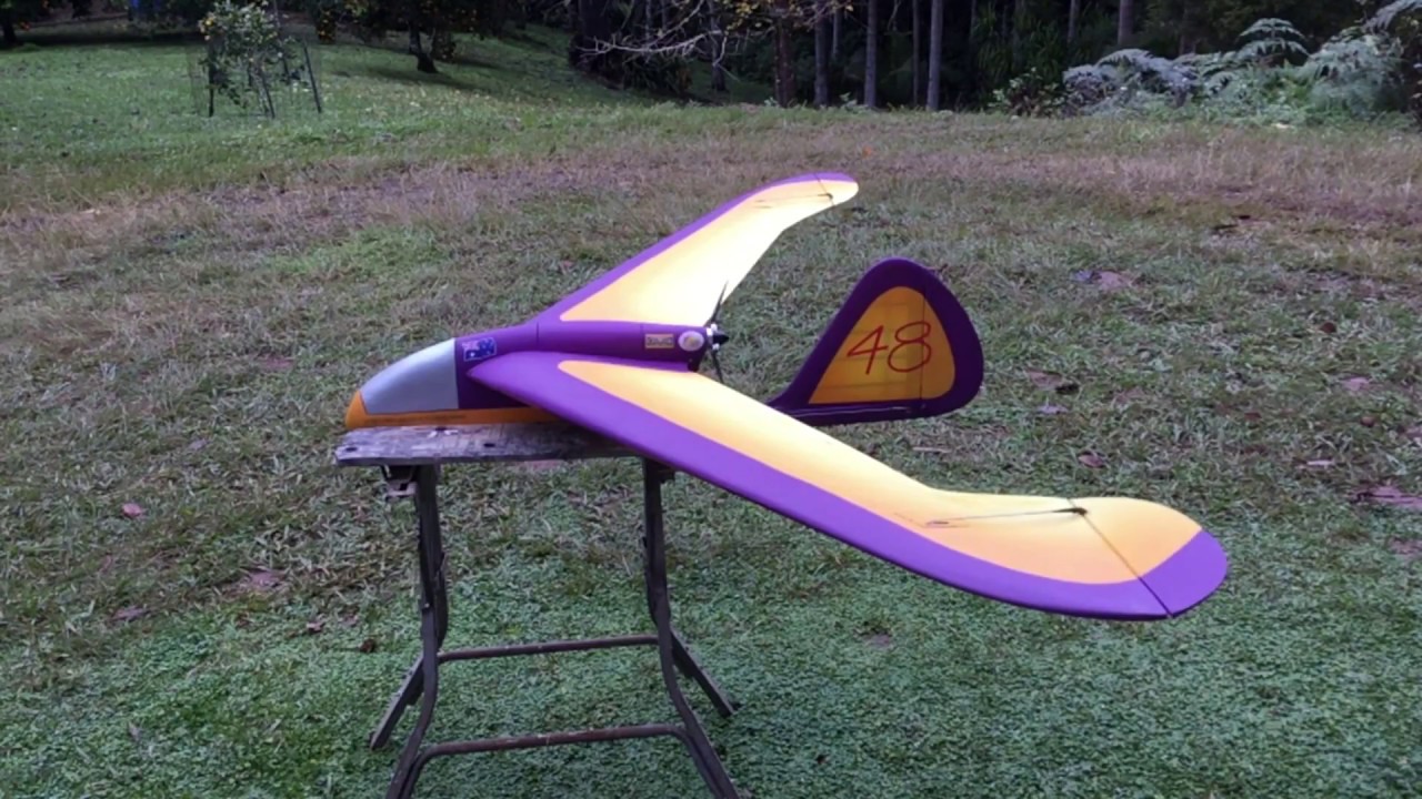 Bernard Gross Flying Wing