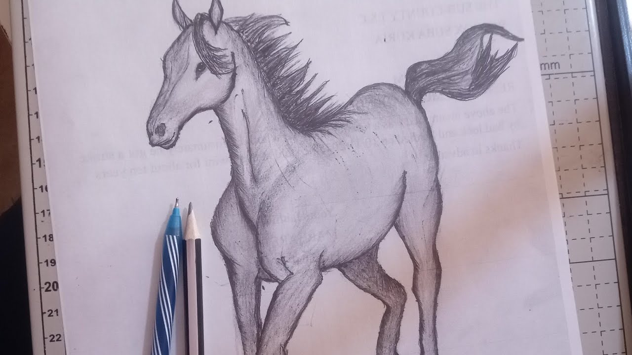 HOW TO DRAW A HORSE  99% WATCH THIS