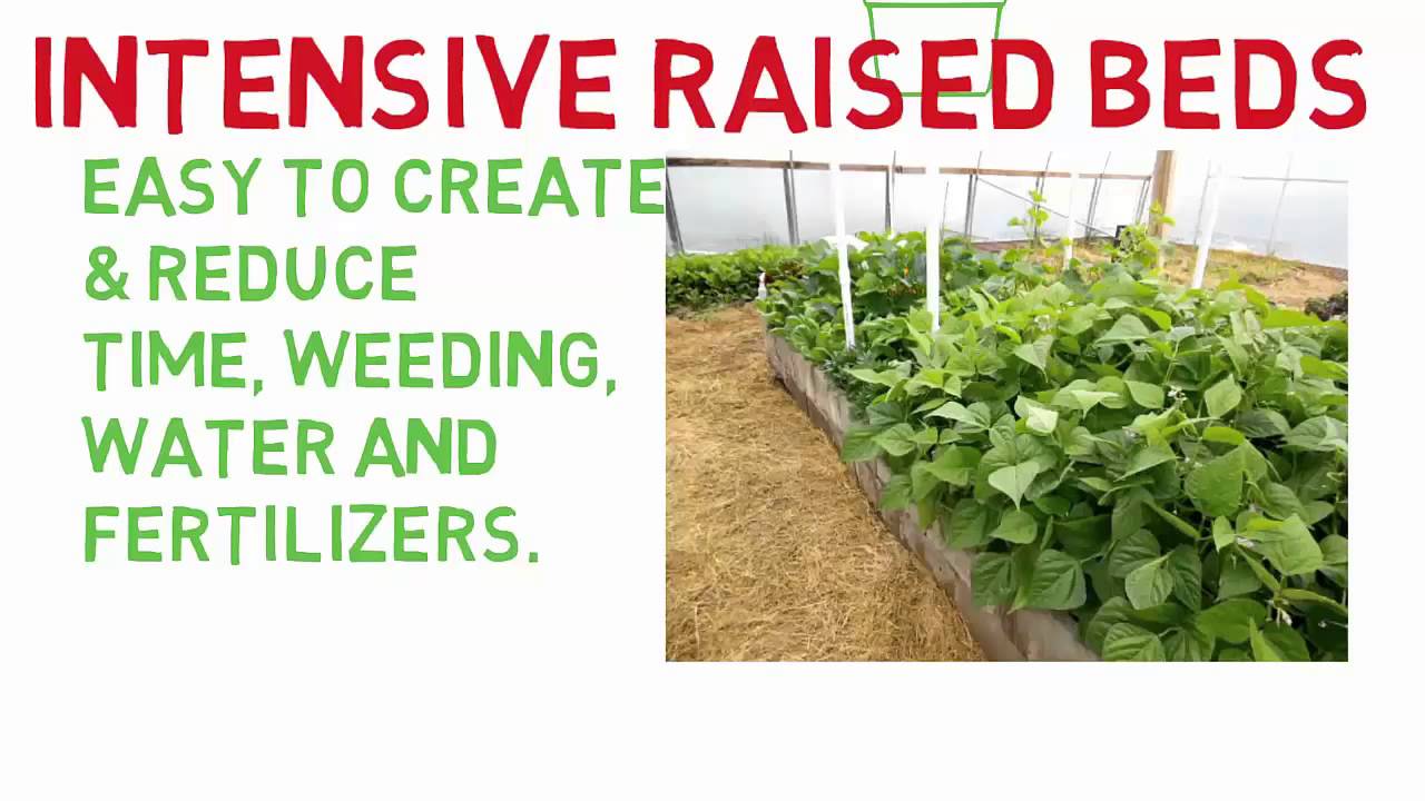 Create Your High Performance Garden
