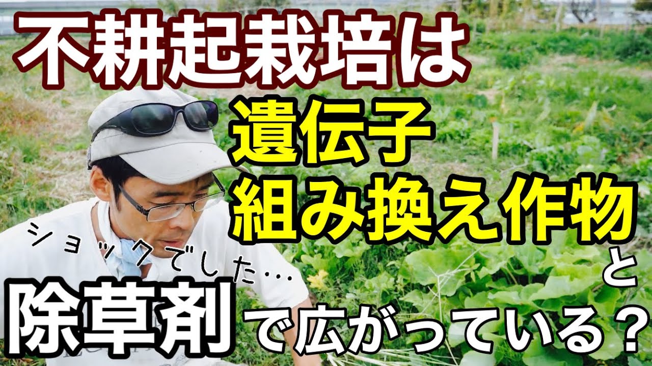 不耕起栽培は遺伝子組み換え作物と除草剤によって広がっている？【SDGs】2021年11月19日