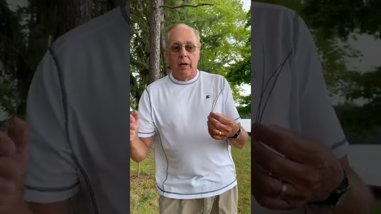 PITCH PINE  # Three strikes and your out !