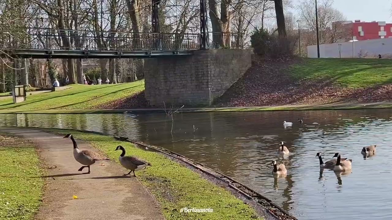 het Hanssenspark van Vilvoorde (deel 2)