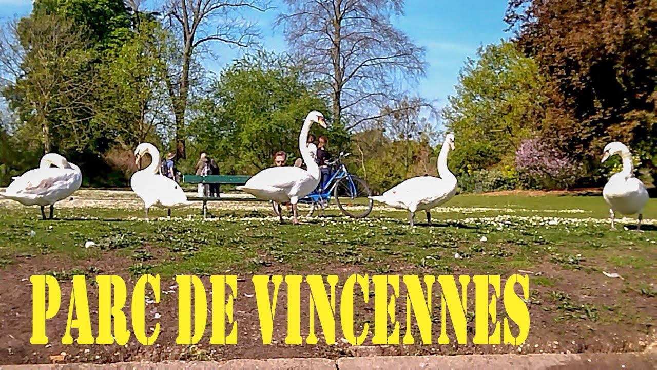 PARC DE VINCENNES 