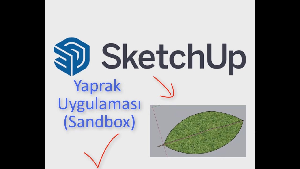 Yaprak Uygulaması (Sandbox)