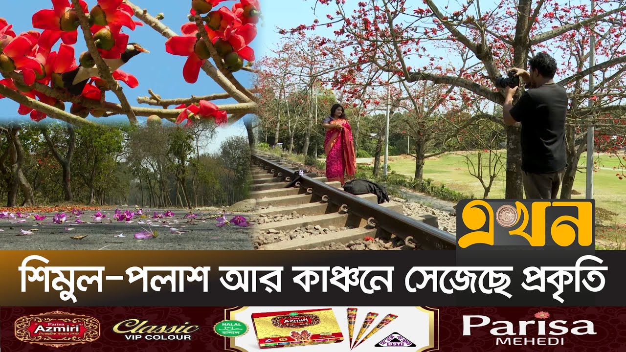 বসন্তের সৌন্দর্যে মেতেছেন সিরাগঞ্জের প্রকৃতিপ্রেমীরা | Sirajganj News | Spring | Tourism | Ekhon TV