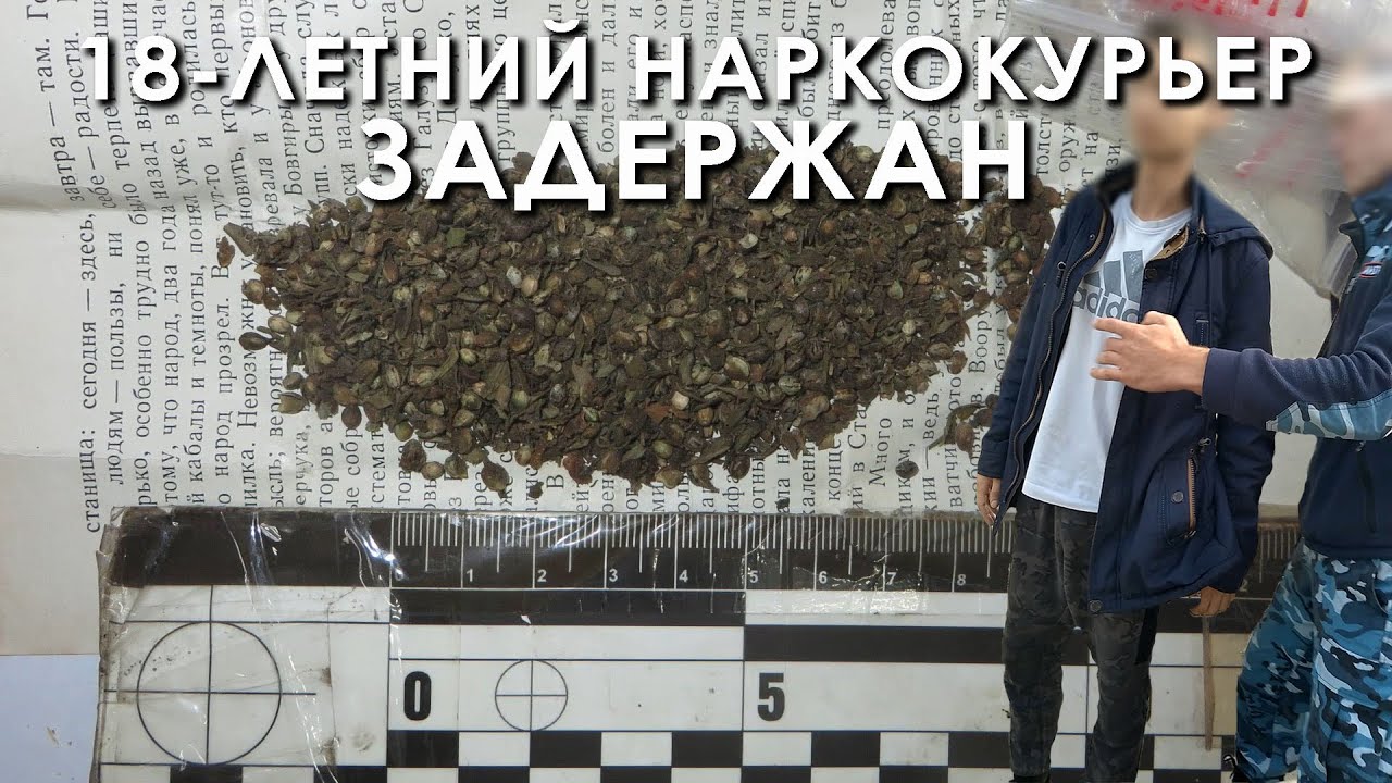 18-летний наркокурьер задержан