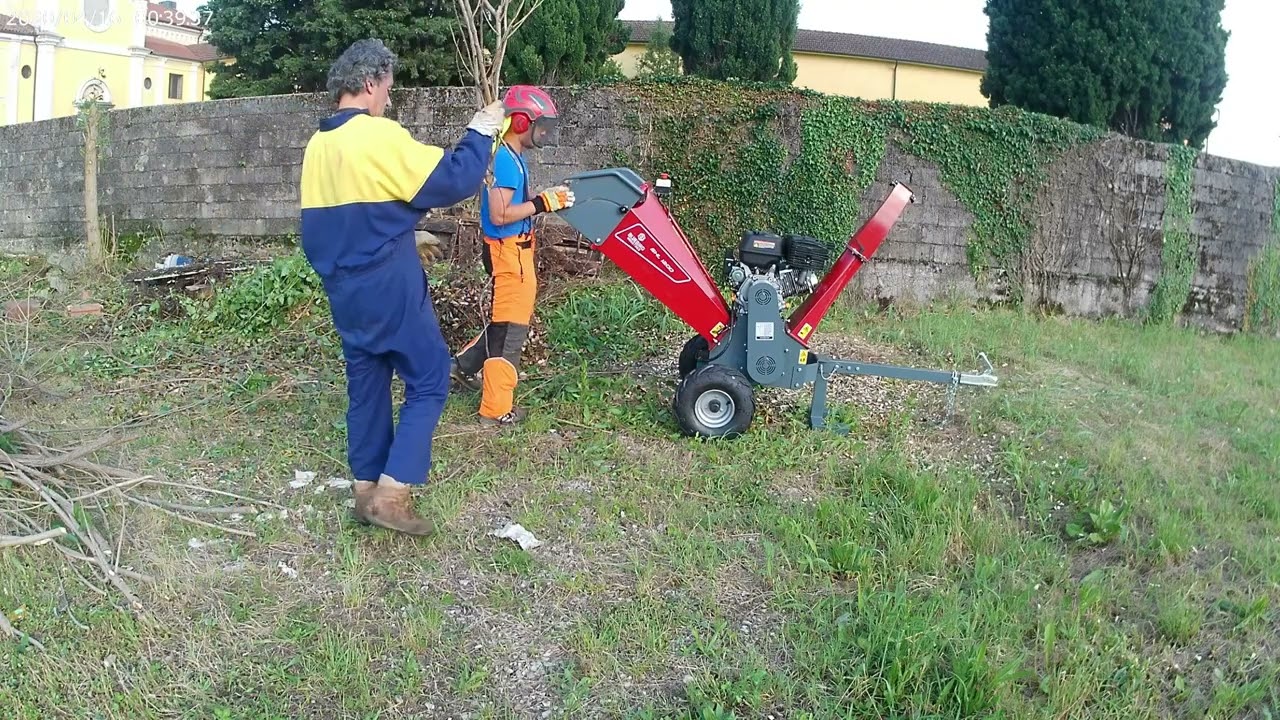 Cippatura rami con cippatore Blue Bird SHL 1200