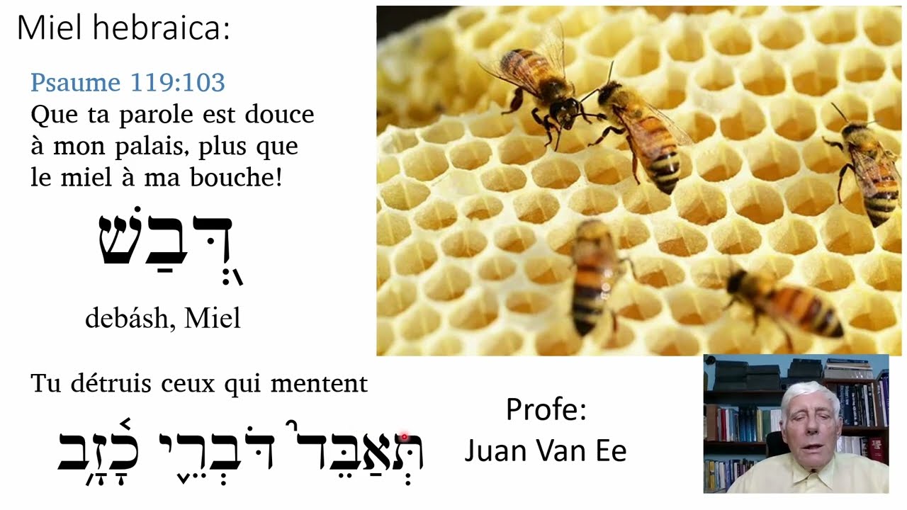 Tu détruis ceux qui mentent