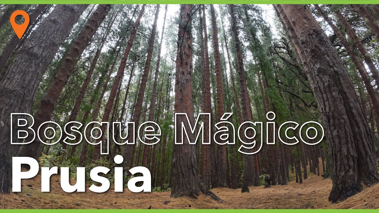 Parque Nacional  Bosque de Prusia 2023