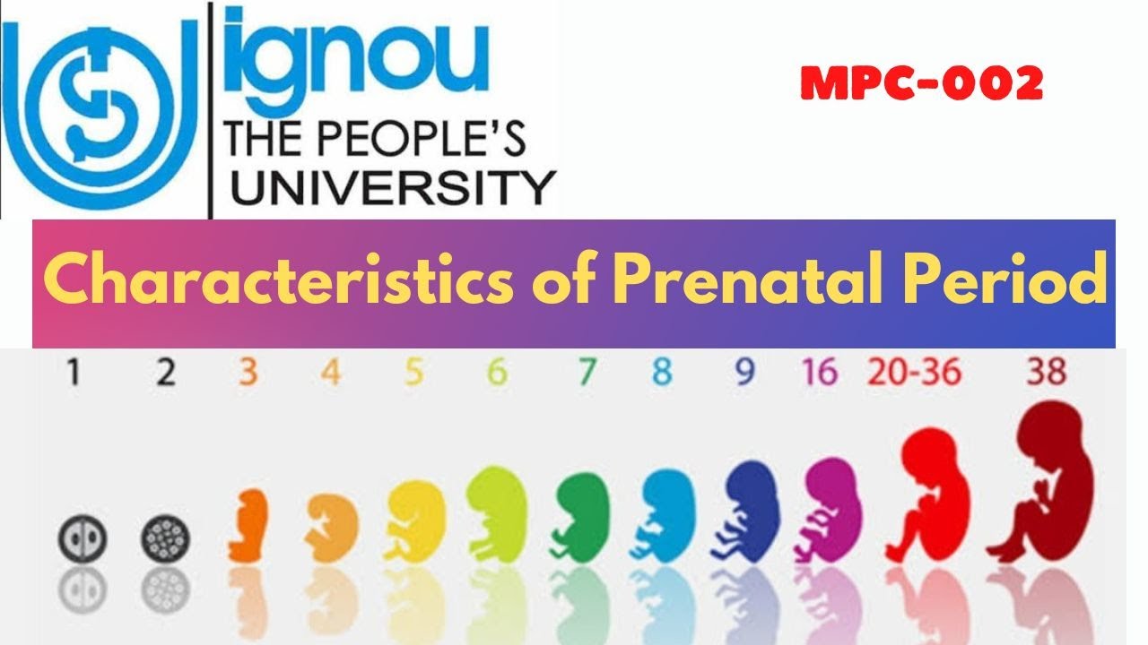 Characteristics of Prenatal Period (MPC-002)